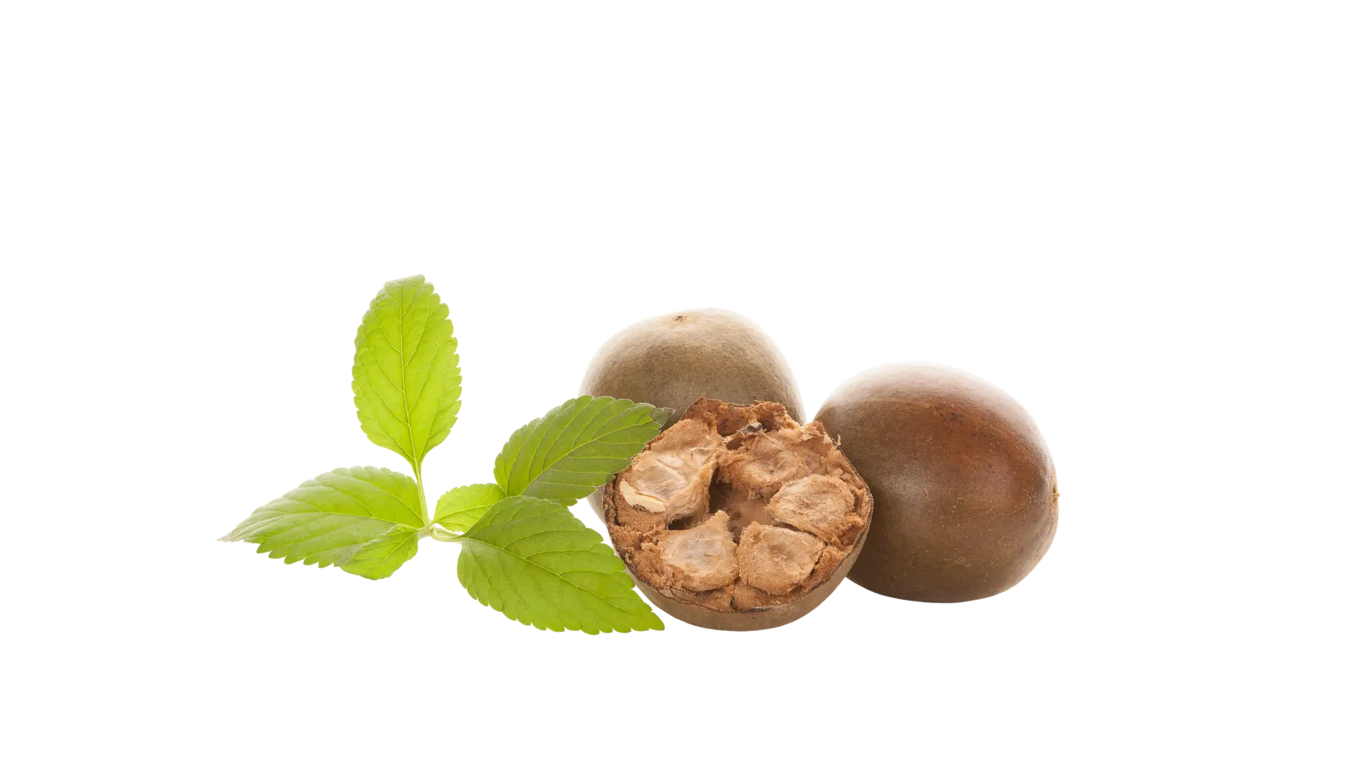 Guilt-Free 100% Pure Organic Monk Fruit with 50% Mogroside V without erythritol, actual monk fruit close up picture